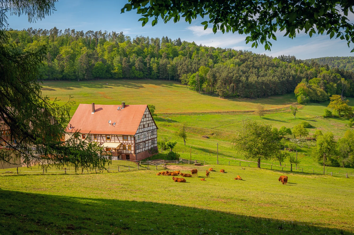 Campo con casa